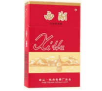 品味正宗风华——揭秘正品一品梅香烟的独特魅力