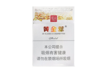 三年级写烟花的作文300字左右怎么写的_写烟花的作文350字